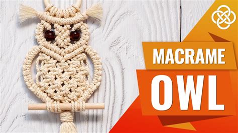 Diy Macrame Owl Tutorial Macrame Diy How To Make Macrame Owl Youtube