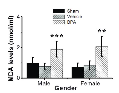 Effects Of Bpa Exposure On Oxidative Stress Biomarker Mda Levels