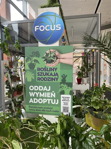 Ch Focus Punkt Wymiany Ro Lin Tanio W Mie Cie Bydgoszcz