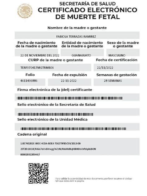 Certificado De Muerte Fetal Pdf