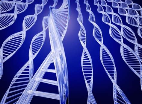 Cientistas Descobrem Gene Que Contribui Para O Desenvolvimento De