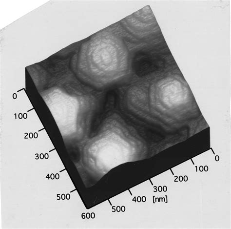 Afm Topograph Of A Zno Epitaxial Film Grown On A Sapphire