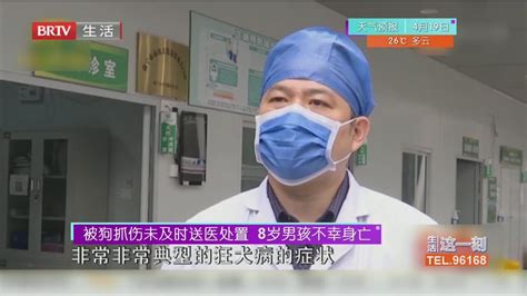 被狗抓伤未及时送医处置 8岁男孩不幸身亡北京时间