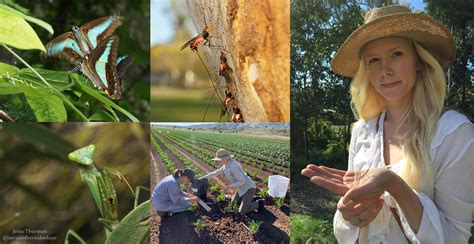 Meet An Entomologist