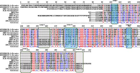 Figure From The Whole Genome Shotgun Sequence Of A Chitinolytic