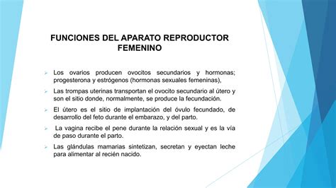 RESUMEN EXPOSICION Aparatos Reproductores PPT