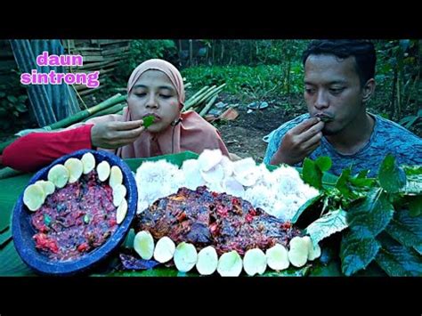 Makan Daun Sintrong Semur Ikan Sambel Terasi Full Jengkol Muda Youtube