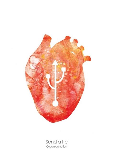 Pin De Michelle Mcgrath Em Anatomical Heart Coração Anatomia Coração