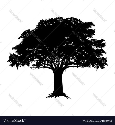 Black And White Tree Clipart Tree Royalty Free Vector Image