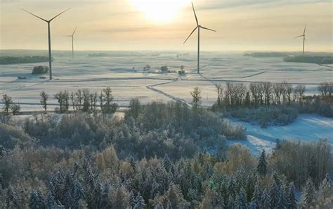 Enefit Green To Reboot Lithuanian Wind Farm Following Turbine Collapse