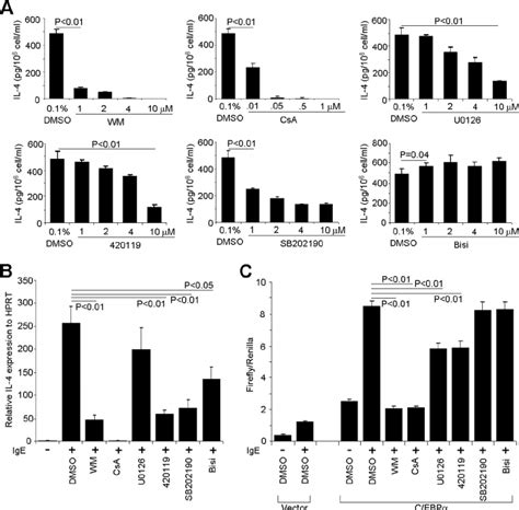 PI3K Pathway And Calcineurin Are Responsible For C EBP Driven Il4