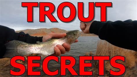 How To Catch Trout Telling All My Secrets Youtube