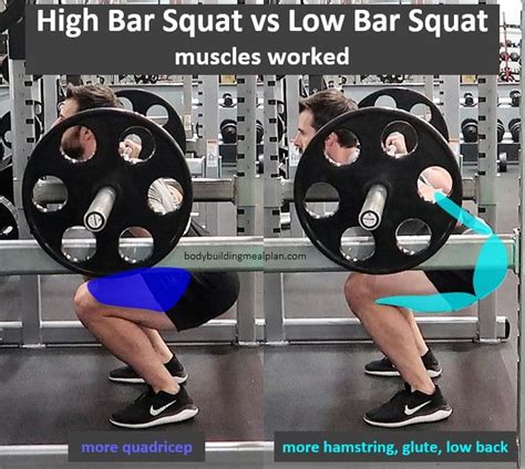 High Bar Vs Low Bar Squat Bar Position Benefits Proper Form