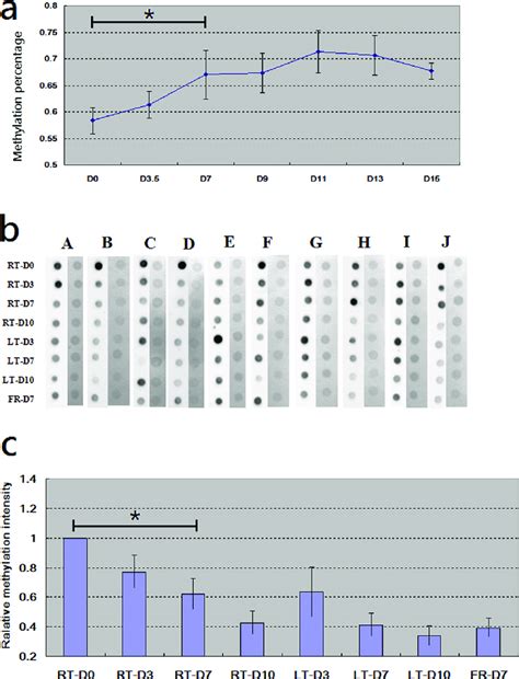 Examinations on DNA methylation. We investigated whether the variation ...