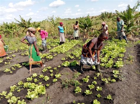 Navarra Y Madre Coraje Apoyan A Personas En Mozambique