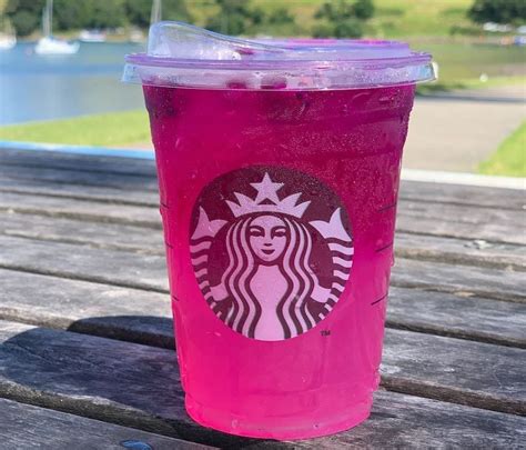 10 Best Summer Drinks at Starbucks in 2023: Ranked & Reviewed | Coffee ...