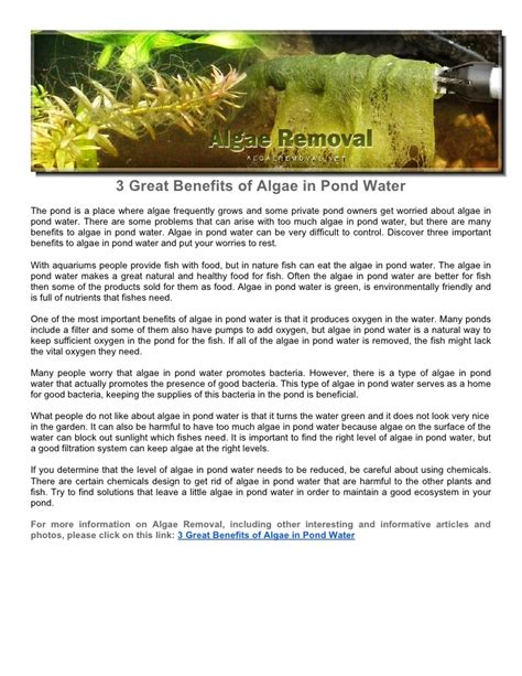 Benefits of algae for your pond – TopsDecor.com