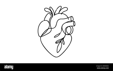 Single Continuous Line Art Anatomical Human Heart Silhouette Healthy