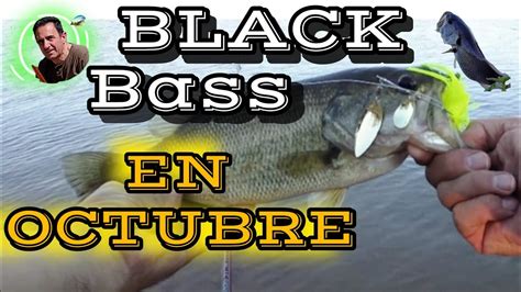 Pesca Del Black Bass En Octubre Mejores Se Uelos Montajes Y T Nicas