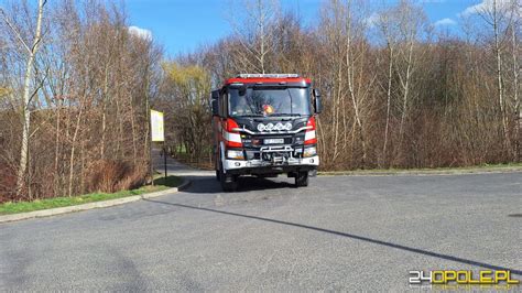 Wypadek podczas wycinki drzew na Wyspie Bolko Mężczyzna zabrany do