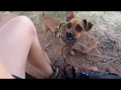 Boulder Colorado Flatirons Hike The Royal Arch YouTube