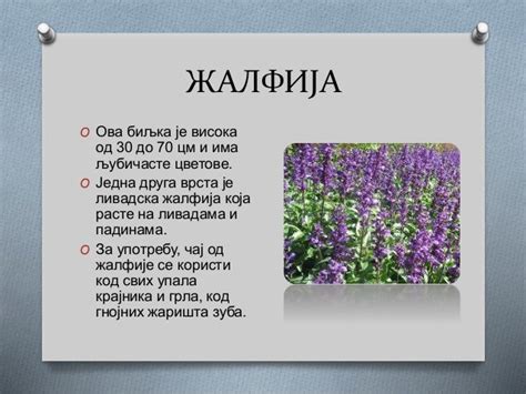 биологија