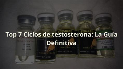 Top Ciclos De Testosterona Gu A Definitiva Esteroidesfarmacia