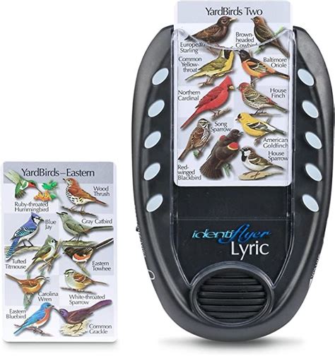 Identiflyer Bird Song Identification And Learning Tool