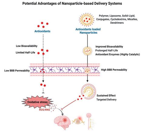 Antioxidants Free Full Text Antioxidant Therapy In Oxidative Stress Induced