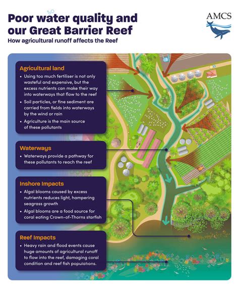 Pollution & Water Quality in the Great Barrier Reef