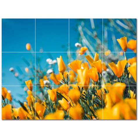 Picture Spring Photo 6 X 6 Satin Ceramic Decorative Mural Wayfair