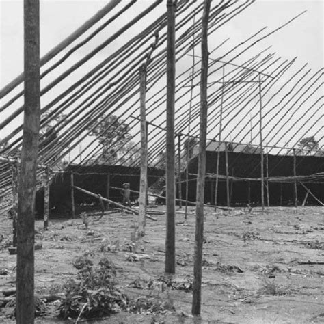 El Shapono Shabono Vivienda Colectiva De Los Yanomami Arquitectura