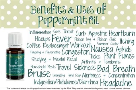 50 Amazing Peppermint Oil Uses And Benefits The Oily Guru