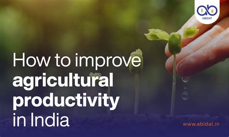 Blog How To Improve Agricultural Productivity In India Abidat