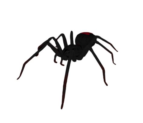 Black Widow Smalland Survive The Wilds Wiki Fandom