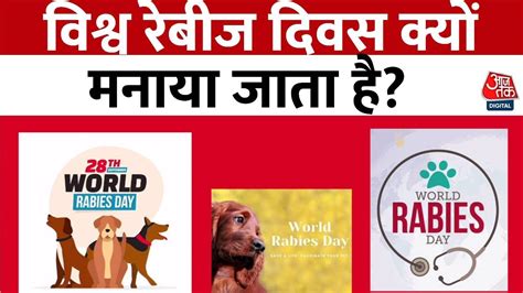 World Rabies Day इंसान ही नहीं जानवरों में भी होता है रेबीज Latest