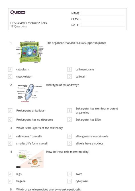 50 Prokaryotes And Eukaryotes Worksheets For 9th Grade On Quizizz Free And Printable