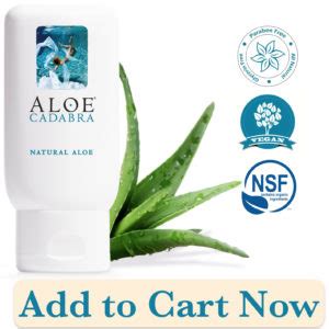 Eight evidence-based health benefits of aloe vera - Aloe Cadabra