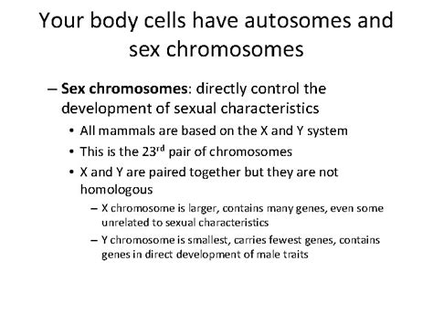 Chapter 6 Meiosis Mendel Lets Talk About Sex