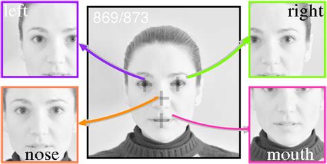 Alignment Of Face Features This Figure Illustrates The Alignment Download Scientific Diagram