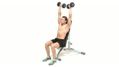 Seated Dumbbell Shoulder Press Form | Two Birds Home