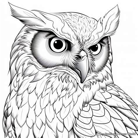 Great Horned Owl Coloring Page