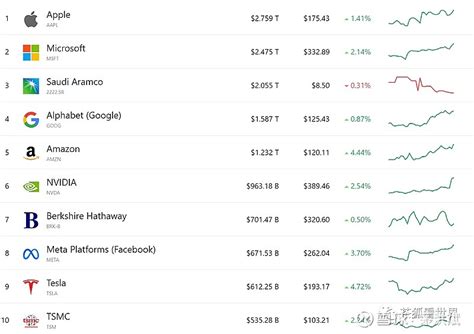 照今天的市值，市值前十大公司，8家是美国公司。除了伯克希尔属于金融投资公司，其它都是高科技公司。 排第10位的是台湾的 雪球