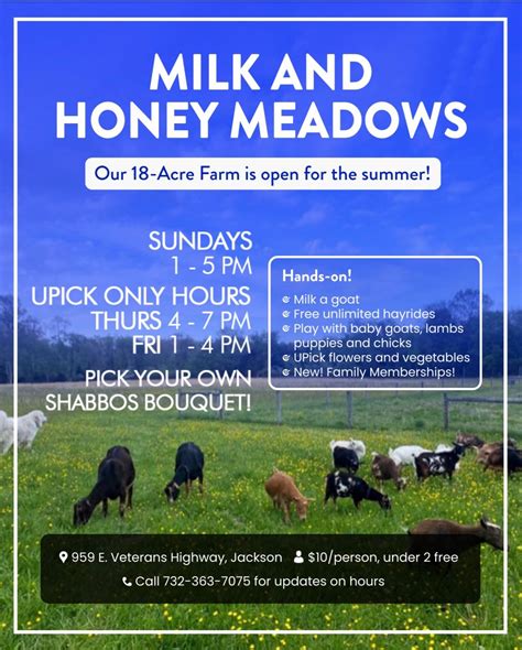 Sunday Milk And Honey Farm In Jackson Open The Lakewood Scoop