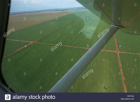 Huge Sugar Cane Fields Seen From Airplane Window In Goiás Central