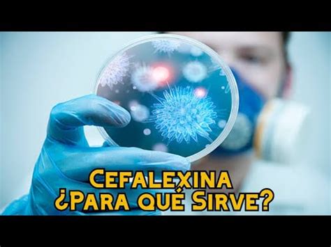 Cefalexina Para qué Sirve YouTube