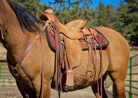 Buckaroo Leather Horse Tack Use Care And Maintenance Aaa Wade