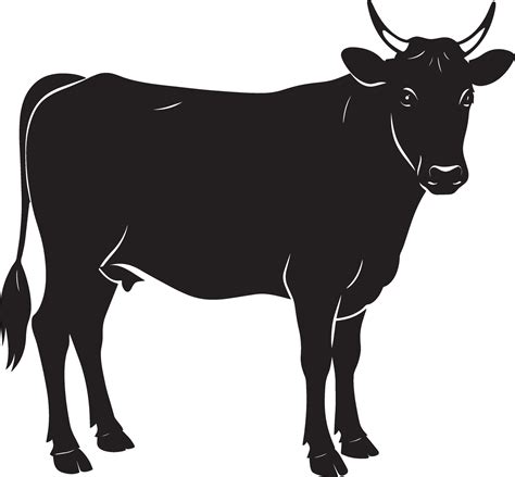 cow silhouette . black and white. isolated white background 42883557 ...