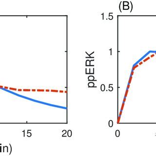 Comparison Of Experimental Data And Simulation Using The Estimated