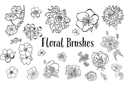 hand drawn flower vectors  vector art  vecteezy